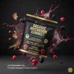 Organic Mushroom Gummies with Ashwagandha – 3,000mg Functional Mushrooms per Serving – Lion’s Mane, Reishi, Maitake, Chaga, Shiitake, Cordyceps, Rhodiola, Panax Ginseng – Tropical Berry - Image 3
