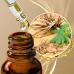 Leise Valerian Essential Oil Valerian Root Essential Oil for Diffuser Valerian Root Sleep Aid Essential Oil Improves Sleep Quality - Image 6