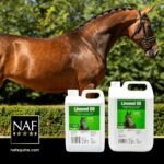 NAF Linseed Oil 2.5L – Cold-Pressed Omega 3 Oil for Horses – Supports Coat Shine, Skin Health, Condition & Digestive Function – Natural Daily Supplement - Image 4