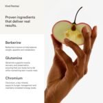 Kind Patches | Berberine Patches | Healthy Shape Support | Botanical Plant-Based Formula with Berberine, Chromium & Vitamin B Complex | 30 Vegan Patches | Packaging May Vary - Image 5