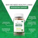 Mullein Gummies for Lung Health - 1000mg Mullein - 200mg Ashwagandha - 400mg Quercetin - Bromelain - Natural Mucus Relief & Respiratory Support- Vegan Supplement-90 Gummies- 45 Day Supply-Keltico - Image 3