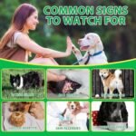 5-in-1 Dog Probiotic Chews 120ct | Gut Health, Sensitive Stomach, Skin & Allergy Support for Dogs | Vet Recommended Formula to Stop Bum Scooting | Scrambled Eggs Flavor - Image 5