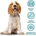 Burns Pet Nutrition Complete Dry Hypoallergenic Dog Food For Sensitive Dogs Turkey & Potato, 2 kg - Image 4