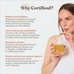 Free Soul CortiSoul with KSM-66® Ashwagandha, L-theanine, Magnesium & Reishi Mushrooms | Nutrient-Rich Superfoods, Adaptogens & Vitamins | Vegan | 30 Servings | Tropical Twist Flavour - Image 3