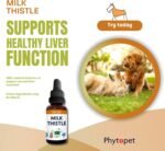 Phytopet Milk Thistle Tincture | 100ml | Liver & Gallbladder Support | Silymarin Enriched | Detox & Cell Growth - Image 3