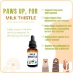 Phytopet Milk Thistle Tincture | 100ml | Liver & Gallbladder Support | Silymarin Enriched | Detox & Cell Growth - Image 4