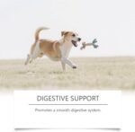 Dog Supplement - 60ml Body Care Liquid Drops,Old Dog Supplement - for Puppy Kitten Pet Daily Shiny Coat Support Energy - Image 10