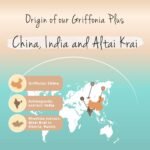 Vegavero 5HTP High Strength | 750 mg Griffonia Seed, Rhodiola & Ashwagandha Extracts | Premium Branded Raw Materials | Synergistic & Natural Adaptogens | NO Additives, Lab-Tested | Vegan - Image 5