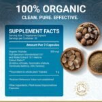 Organic Triphala Capsules - Certified Organic by Soil Association | Potency Due to Natural Fusion Extract | 100% Natural Supplement | Vegan & Vegetarian Friendly | Ayurveda | 60 Tablets | Made in UK - Image 6