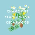 NEOM - Bedtime Hero Essential Oil Blend, 10ml | Chamomile, Ylang Ylang & Cedarwood |Scent to Sleep Range - Image 4