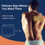Wild+ Pain Relief Patches, 12PCS Max Strength Heat Patches for Back Pain Relief Herbal Knee Patches, Joint Arthritis Heat Pads Pain Relief Plaster Targeted for Back/Neck/Shoulder/Knee/Muscles - Image 3