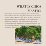 Chios Mastic Food Supplement - 100% Natural Mastic Resin from Chios, Greece - Pistacia Lentiscus - Supports Digestive Health & Well-Being - Premium Quality - Vegan - 60 Capsules - Image 3