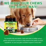 Probiotics for Dogs, 30 Soft Chews with Prebiotics, Pumpkin & Flaxseed | Supports Normal Gut Flora, Digestive Function, Skin & Coat Condition, and Everyday Wellbeing | Duck Flavour - Image 5