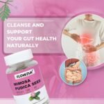 Mimosa Pudica Seed Capsules - Gut Health Supplements for Digestive & Intestinal Health - GMO-Free Gut Cleanse Formula - 120 Capsules for 2-Month Supply - Dietary Supplement - Image 3