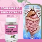 Mimosa Pudica Seed Capsules - Gut Health Supplements for Digestive & Intestinal Health - GMO-Free Gut Cleanse Formula - 120 Capsules for 2-Month Supply - Dietary Supplement - Image 4
