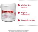Canesten CanesBiotics, Oral Capsules with Live Friendly Bacteria Naturally Present in The Vaginal Flora, 4 Billion Live Cultures, Vitamin B2, Food Supplement, 30 Capsules - Image 3