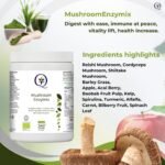 QW Mushroom Enzymix | High Strength Mushroom Complex Super Greens Powder | 300mg Reishi, Cordyceps & Shiitake Powder with Spirulina, Barley & More Superfood Ingredients | Made in The UK - Image 5