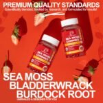 Irish Sea Moss Gummies with Bladderwrack & Burdock Root 5680 Mg | 60 Gummies | Strawberry Flavour | Vitamins & Minerals | Organic, Natural, Vegan, Gluten Free, Non GMO, High Strength - Image 4