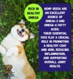 Hemp Oil for Dogs - Natural Dog & Cat Feed Supplement with omega 3, 6, 9 support hip, joint & dog calming- 100% Pure Cold Pressed (1ltr) - Image 4