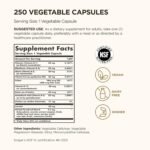 Solgar Vitamin B-Complex 50'' Vegetable Capsules - Pack of 250 - High Potency - Reduces Fatigue for Mental Performance, Busy and Active Lifestyles With Thiamine, Riboflavin, Folic Acid - Vegan - Image 3