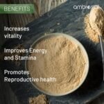 Ambrosial Maca Root Capsules for Women & Men - High Strength 500 Maca mg per Capsule, Supports Stamina & Energy - Natural Maca Root High Strength (Pack of 2-120 Capsules) - Image 7