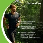 NaturesPlus Source of Life Garden Men Multi - Organic, Plant Based Multivitamin for Men - Energy, Immune Support with Zinc, Selenium, Turmeric - Vegan, Gluten Free - 90 Tablets - Image 4