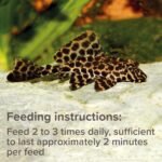 King British – Plecostomus Tablets 150g – Multi-Vitamin Complete Food Natural Ingredients – Enhances Colour & Vitality – For Plecostomus & Bottom-Feeding Catfish - Image 4