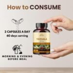 Triphala Capsules - Rich in Vitamin C & Antioxidants | with Goodness of Amla, Haritaki & Bibhitaki - 90 Capsules - Image 4