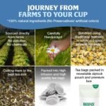 HANDPICK, Good Night Tea Bags (100 Count) Night Time Herbal Tea | Caffeine Free, Gluten Free | Floral Blend - Lavender, Chamomile, Peppermint | Natural Sleep Tea, Perfect for Bedtime - Image 5
