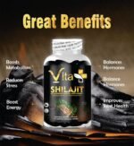 VIta + Shilajit Gummies 600mg, for Men and Women, Energy, Immunity Support, Pure Himalayan Shilajit Gummies with Ashwagandha 100mg & Lion Mane Mushroom 100mg, 60 Gummies. - Image 4