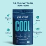 Gut–Smart COOL, 90 x Chewable Tablets, Heartburn Relief, Antacid, Natural Supplements for Healthy Digestion, Contains Slippery Elm, Marshmallow Root, Calcium and Biotin, POCKET TIN Included - Image 3