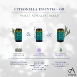 Absolute Aromas Citronella Essential Oil 30ml - 100% Pure, Natural, Undiluted, Vegan and Cruelty-Free - for use in Diffusers and Aromatherapy Blends - Image 3