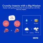 SENS Edible Insect Mix, Party Snack, Roasted Crickets and Mealworms, Crispy Snack Rich in Proteins, Gift Idea for Foodies - Image 4