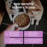 Cat Calming Powder Supplement - Stress & Anxiety Relief for Cats, Contains L-Tryptophan for Sleep Aid During Travel, Cat Probiotics for Digestive Support & Brain Gut-Axis | 100g (Catnip) - Image 4