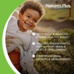NaturesPlus Animal Parade Calcium Children’s Chewable - Calcium Supplement for Kids Natural Vanilla Flavour - Vegan, Gluten Free - 90 Chewable Animal Shaped Tablets - Image 4