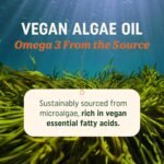 Vegan Omega 3 Algae Oil | Plant Based DHA EPA | Sustainably Sourced, No Carrageenan, Non GMO | Heart, Brain & Eye Health Support | Fish Oil Alternative | Algae Omega 3 Supplement | 120 Softgels - Image 3