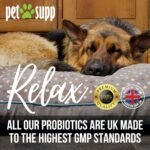 Calming Care – Natural Calming Tablets for Dogs | Supports Relaxed & Balanced Behaviour | 120 Tablets for All Breeds & Sizes - Image 8
