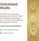 Solgar Alpha Lipoic Acid 200 mg Vegetable Capsules - Food Supplement, Pack of 50 - Antioxidants - Vegan, Gluten Free - Image 5