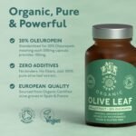 Organic Olive Leaf Extract 500mg | Standardised for 20% Oleuropein | 60 Vegan Capsules | Made in The UK - Image 3