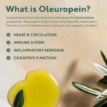 Organic Olive Leaf Extract 500mg | Standardised for 20% Oleuropein | 60 Vegan Capsules | Made in The UK - Image 4