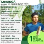 Moringa Capsules 5000mg - 4 -Month Supply | 120 High-Strength Moringa Capsules | Pure Potent Leaf Extract - No Additives | Vegan, Non-GMO & Lab-Tested - Image 5