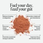 Biotic Energy Gut-First Energy Powder | Hot-Drink Friendly Probiotics, Prebiotics + Lion's Mane | Raw Cacao, Caffeine-Free |100% Daily B & D Vitamins | High in Fibre | 30 Servings - Image 4