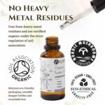 Ecodrop Organic Turkey Tail Mushroom I 50ml I Double Extract Liquid Tincture Turkey Tail Supplement I Heavy Metal-Free, Nordic Sourced, & Fully Traceable I Manufactured in Finland - Image 4