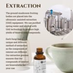 Ecodrop Organic Turkey Tail Mushroom I 50ml I Double Extract Liquid Tincture Turkey Tail Supplement I Heavy Metal-Free, Nordic Sourced, & Fully Traceable I Manufactured in Finland - Image 6