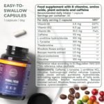 Primal Harvest Mind Fuel - Cognitive Supplement for Focus, Energy, Memory & Clarity, for Men & Women, Vegan, 2 Pack: 60 Servings - Image 3