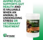 Vetark Avipro Plus, Prebiotic and Probiotic Supplement For Dogs, Supports Digestive Health and Stress, Easy to administer, 100g - Image 5