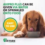 Vetark Avipro Plus, Prebiotic and Probiotic Supplement For Dogs, Supports Digestive Health and Stress, Easy to administer, 100g - Image 6