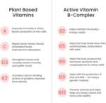Wellbeing Nutrition Melts Plant Based Multivitamin for Men & Women with 100% RDA of Vitamin A, Vitamin B-Complex, Vitamin C, D3 + K2, Ashwagandha & Ginseng for Immunity & Energy (30 Oral Strips) - Image 4