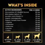 11-in-1 Weight Gain Food for Dogs - Appetite Stimulant with High Calorie & Protein - Premium Dog Muscle Builder for All Breeds - Healthy for Puppies - 150 Chews - Chicken - Image 5