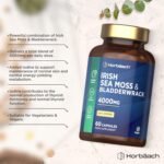 Sea Moss Capsules with Bladderwrack | Irish Sea Moss & Bladderwrack Extract with Iodine | High Strength | 60 Vegan Capsules | by Horbaach - Image 3
